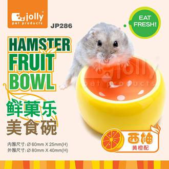 Jolly寵物鼠用美食陶皿(西柚)